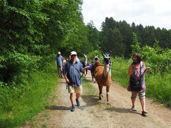 Bildung für Menschen mit Behinderung