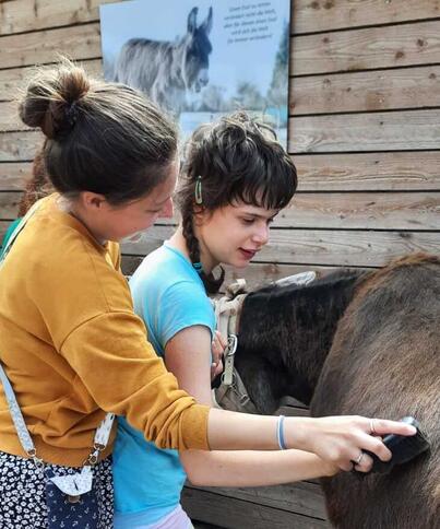 Eine Oase in der Wüste 