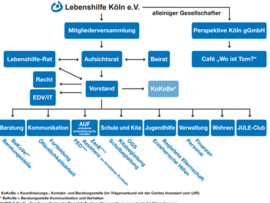 Satzung und Organigramm